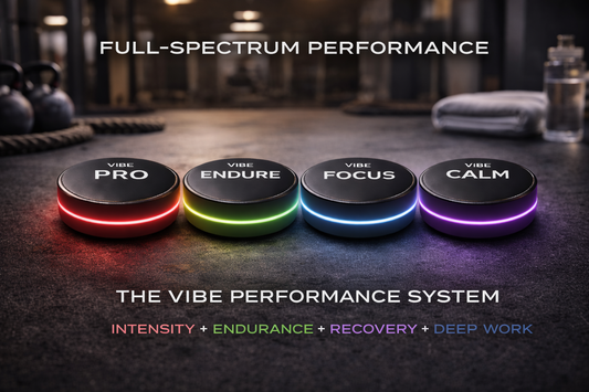 VIBE Performance System Stack